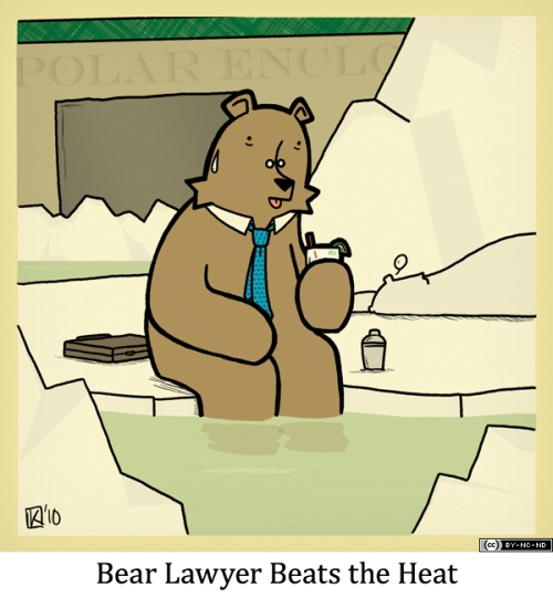 Bear Lawyer Beats the Heat